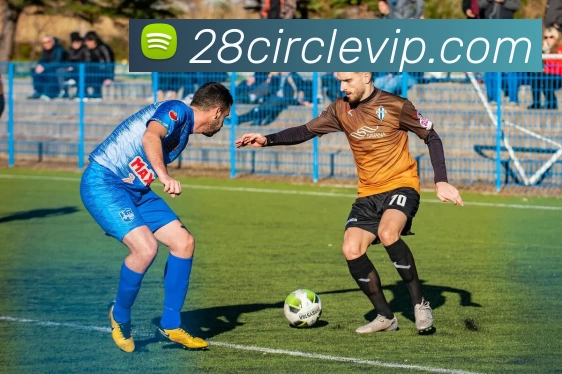 28圈官网服务体系