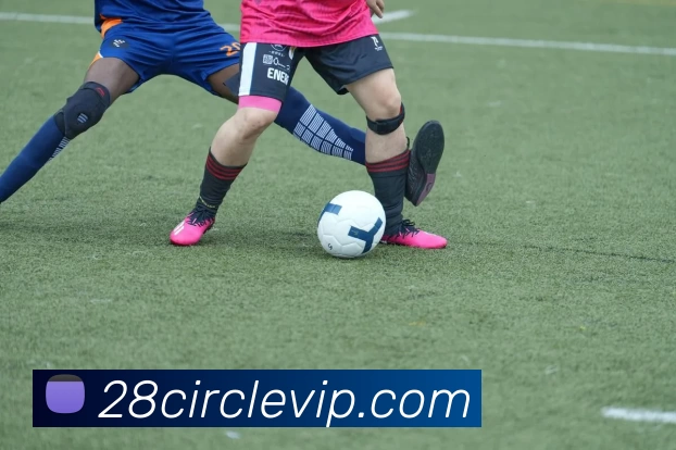 App Interface Preview