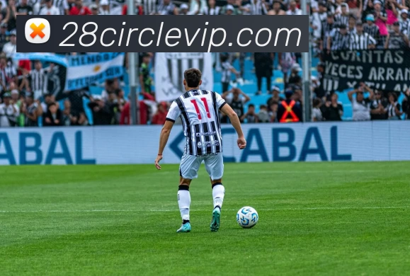 28圈官网APP 封面图